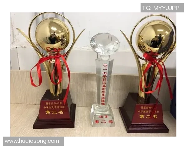 武汉排球队在排球比赛经验排行榜中荣获第二名的辉煌成就分析